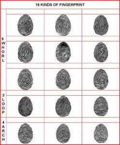 Fingerprint Analysis